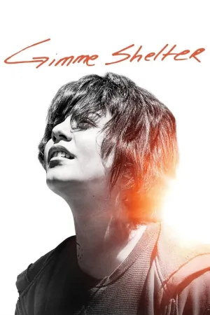 Gimme Shelter 2013 Poster