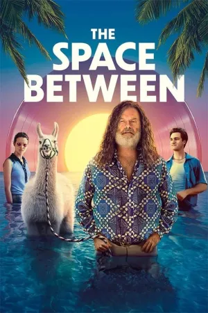 The Space Between 2021 Poster